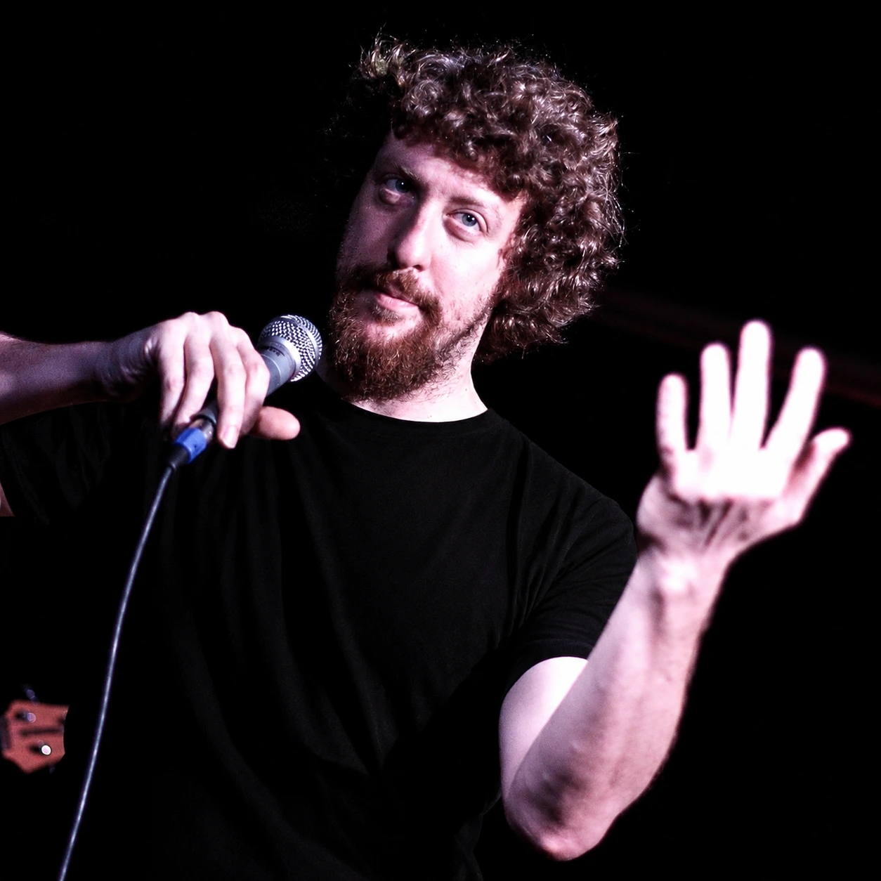 Andrés Drimer - Voz